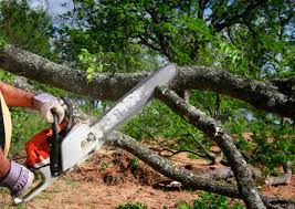 Seasonal Cleanup in Palmyra, MO